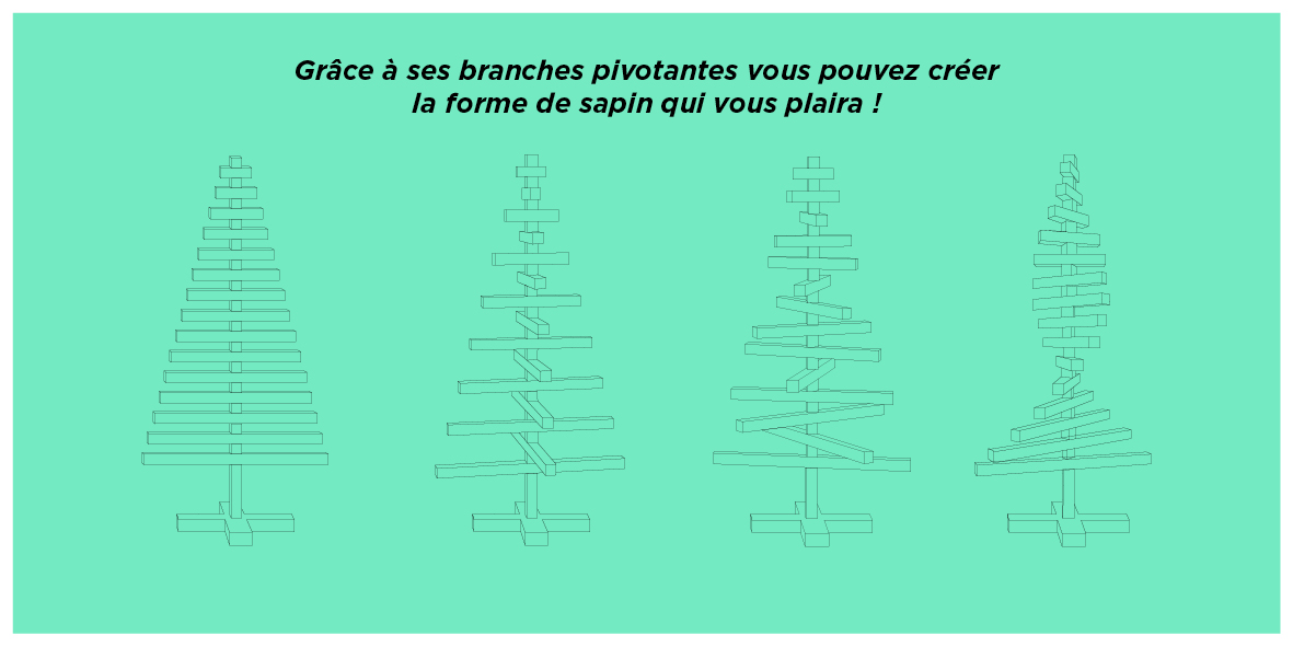 Différentes formes de sapin